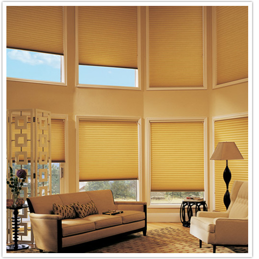 HUNTER DOUGLAS SHADES